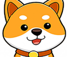 babydogecoin.gg