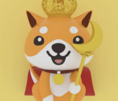 babydogeking.net