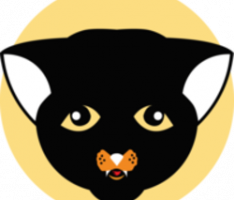 babywakandainu.com