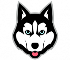 baltotoken.com