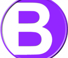 bdcashprotocol.com