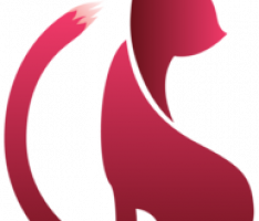 beaucat.io