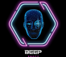 beepbotz.xyz