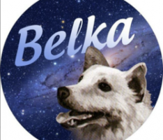 belkaproject.com