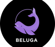 app.beluga.fi