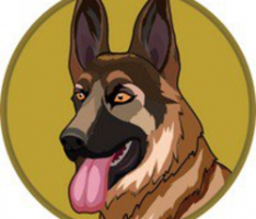 bergerdoge.com