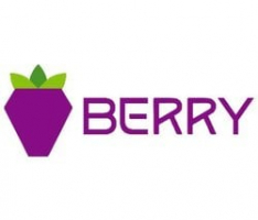 berrydata.co