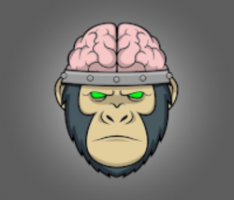 bigbraincapital.io