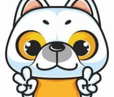 bigdogtoken.com