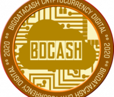 bigdatacash.online