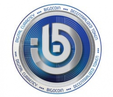 bigocoin.co