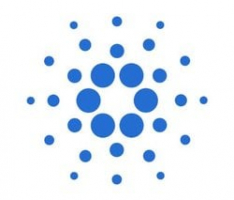cardano.org