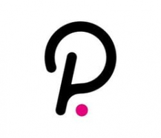 polkadot.network