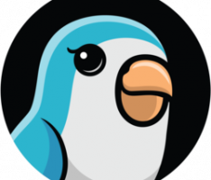 birb.com