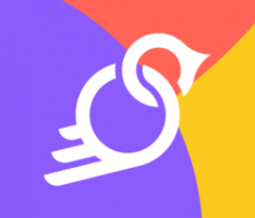 birdchain.io