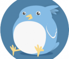 birdy.finance