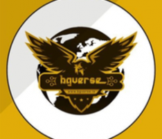 bgverse.io