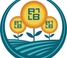 bitblocks.finance