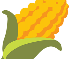 bitcornproject.com