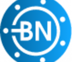 bitnorm.com