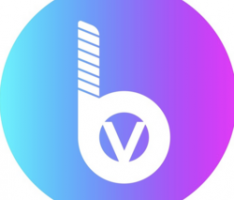 bitvalley.io