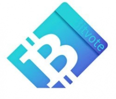 bitvote.one