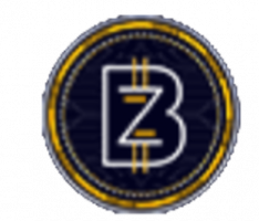 bizzcoin.com