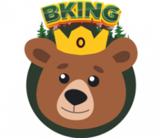 bking.finance