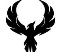blackphoenixbpx.com