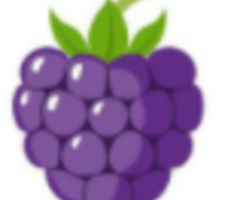 blackberrytoken.com