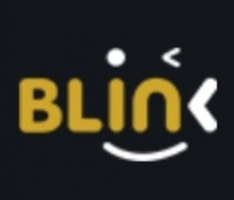blink.wink.org