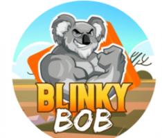 blinkybob.finance