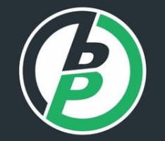 blitzpick.com