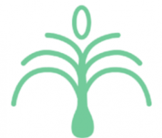 bft.finance