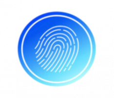 blockidchain.com