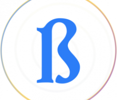 blockswap.network