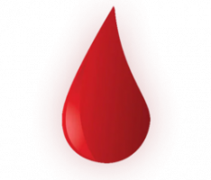 bloodnodes.app