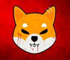 bloodyshiba.net