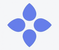 bloom.co