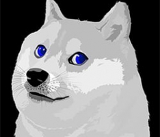 bdoge.net