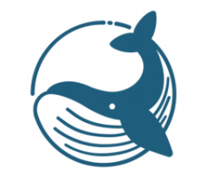 bluewhale.foundation