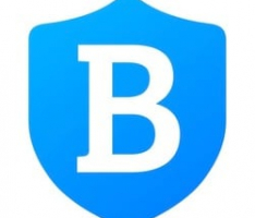 blueprotocol.com