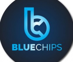 bluechips-token.com
