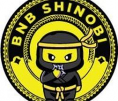bnbshinobi.com