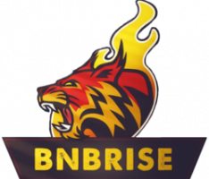 bnbrise.online