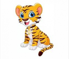 bnbtiger.vip