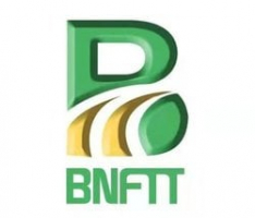 bnftt.com