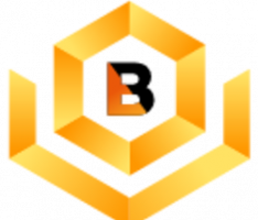 bnxfinex.com