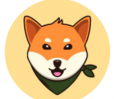 bogecoin.org