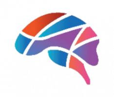 brainaut.net